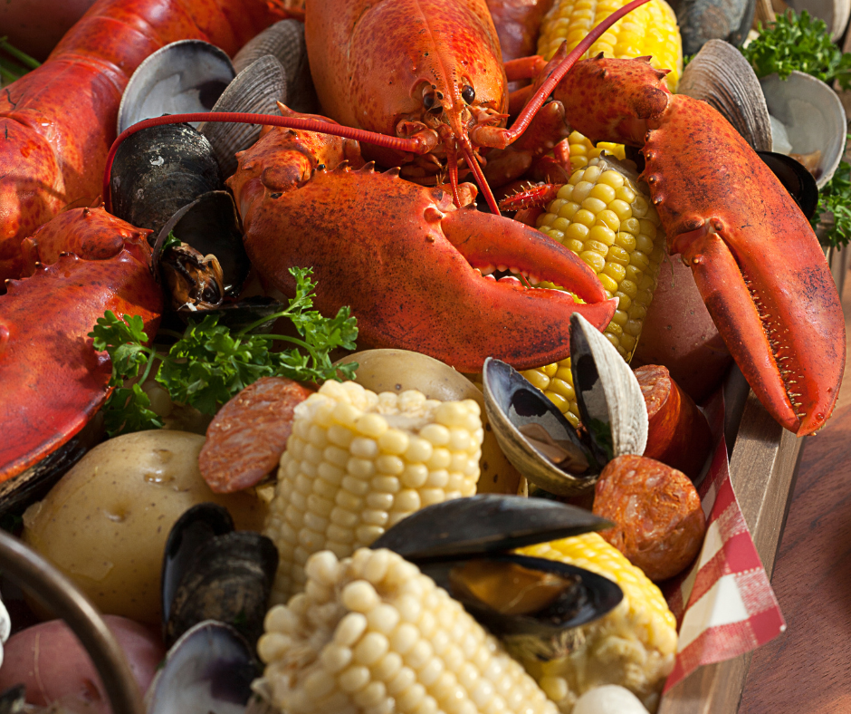 Cape Cod Food Trucks A Culinary Journey on Wheels. Cape Cod Food Trucks A Culinary Journey on Wheels.